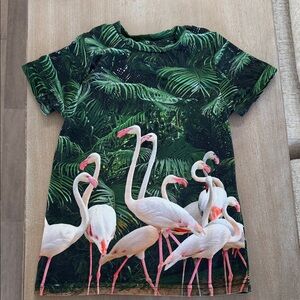 RLL Flamingo Print T-Shirt